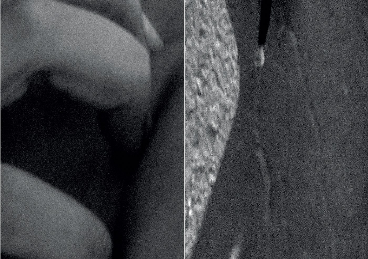 Deryn Rees-Jones — Iconographies