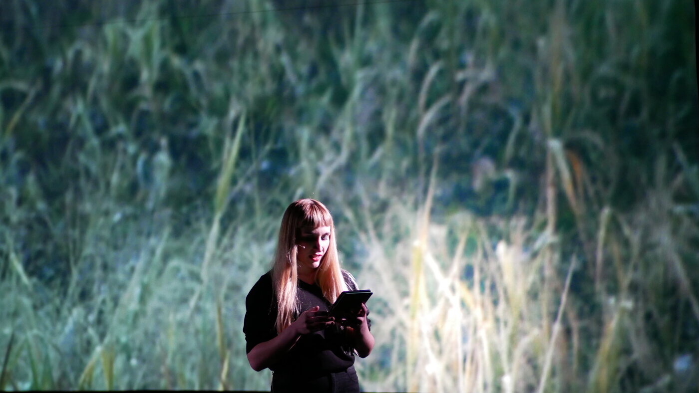 Videografía de La pampa — lectura en vivo, proyección de pastizal